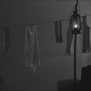 Foto Neblina e Sombras