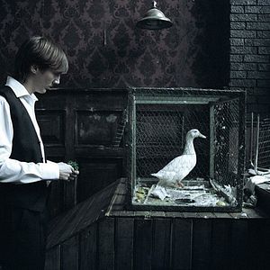 Foto O Bom Coração