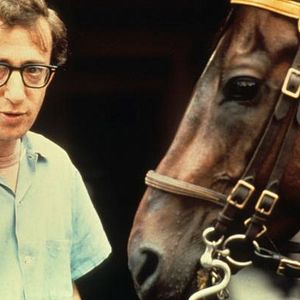 Foto Um Assaltante Bem Trapalhão