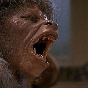 Foto Um Lobisomem Americano em Londres