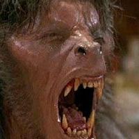 Foto Um Lobisomem Americano em Londres