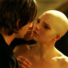 Foto Splice - A Nova Espécie