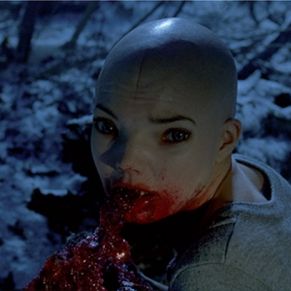 Foto Splice - A Nova Espécie