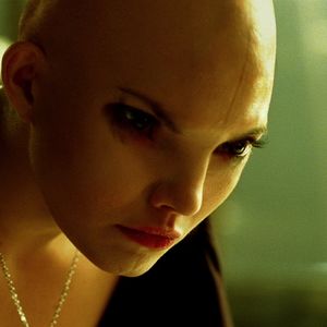 Foto Splice - A Nova Espécie