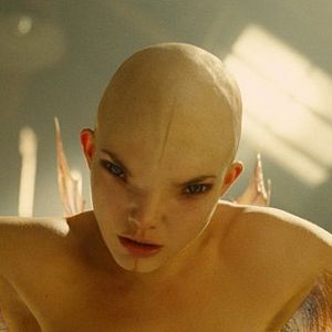 Foto Splice - A Nova Espécie