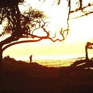 Foto Perversa Paixão