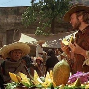 Foto Os Abutres têm Fome