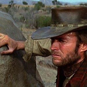 Foto Os Abutres têm Fome