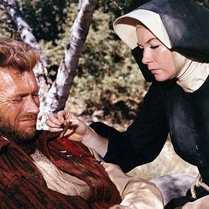 Foto Os Abutres têm Fome