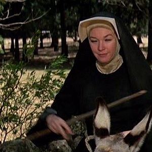 Foto Os Abutres têm Fome