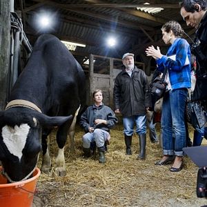 Foto O Baile das Atrizes