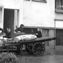 Foto Rocco e seus Irmãos