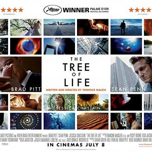 Foto A Árvore da Vida