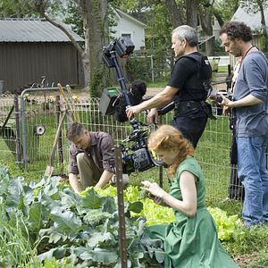 Foto A Árvore da Vida