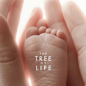 Foto A Árvore da Vida