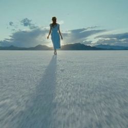 Foto A Árvore da Vida