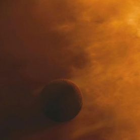 Foto A Árvore da Vida