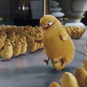 Foto Hop - Rebelde Sem Páscoa