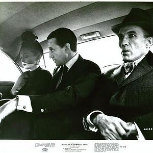 Foto Puzzle of a Downfall Child