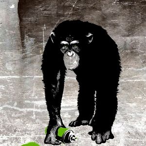 Foto Planeta dos Macacos - A Origem