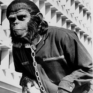 Foto A Conquista do Planeta dos Macacos