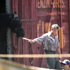 Foto Água para Elefantes