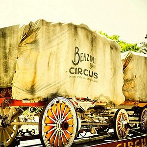 Foto Água para Elefantes