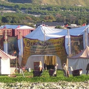 Foto Água para Elefantes