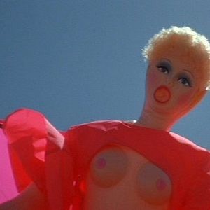 Foto Priscilla, a Rainha do Deserto