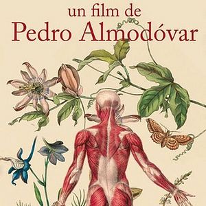 Foto A Pele que Habito