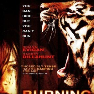 Foto Nas Garras do Tigre