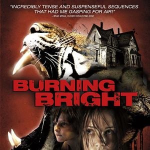 Foto Nas Garras do Tigre