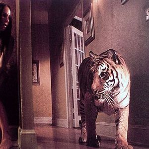 Foto Nas Garras do Tigre