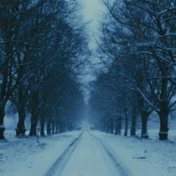 Foto Millennium - Os Homens Que Não Amavam as Mulheres