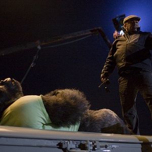 Foto O Zelador Animal