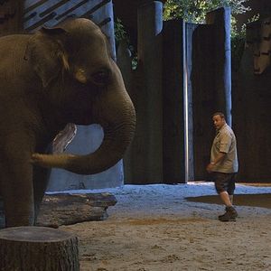 Foto O Zelador Animal