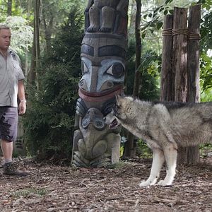 Foto O Zelador Animal