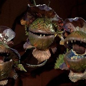 Foto A Pequena Loja dos Horrores