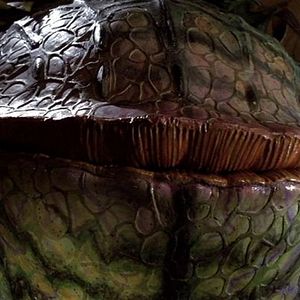 Foto A Pequena Loja dos Horrores