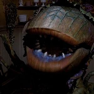 Foto A Pequena Loja dos Horrores