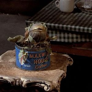 Foto A Pequena Loja dos Horrores