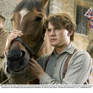 Foto Cavalo de Guerra