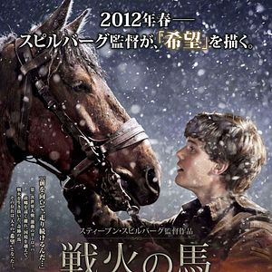 Foto Cavalo de Guerra