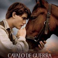 Foto Cavalo de Guerra