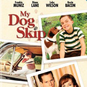 Foto Meu Cachorro Skip