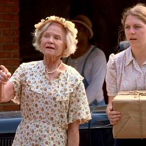 Foto Meu Cachorro Skip