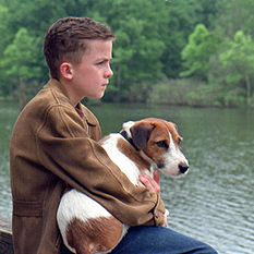 Foto Meu Cachorro Skip