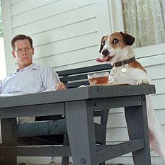 Foto Meu Cachorro Skip