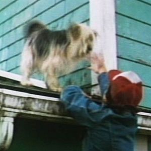 Foto O Incrível Robô