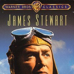 Foto Águia Solitária